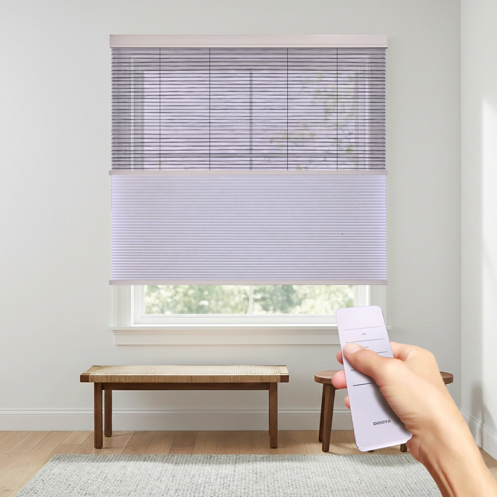 Motorized Day & Night Cellular Shade in Living Room